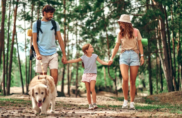 快乐的家庭背着背包和拉布拉多犬在森林里散步 — 图库照片