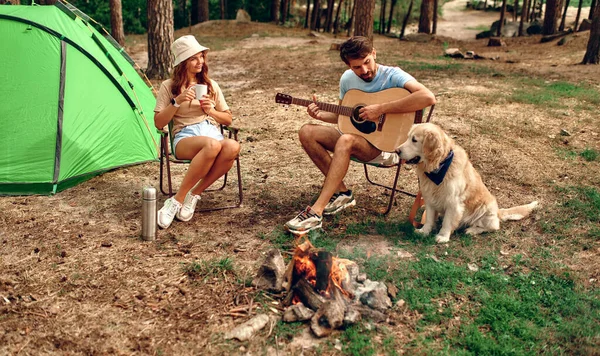 A loving young couple sit near a campfire and a tent, drink coffee, play the guitar with a labrador dog in a pine forest. Camping, recreation, hiking.