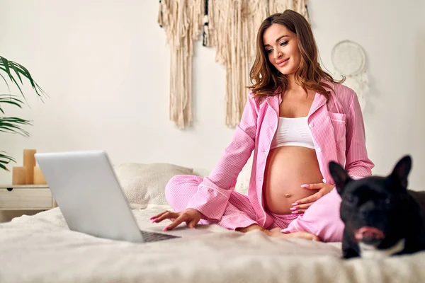 年轻的孕妇和她的家人的朋友狗一起 带着笔记本电脑 坐在床上 产妇概念 — 图库照片