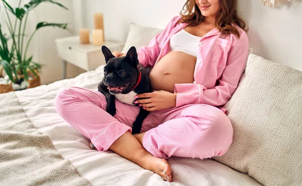 Mujer Embarazada Joven Sentada Cama Dormitorio Con Amigo Familia Perro —  Fotos de Stock