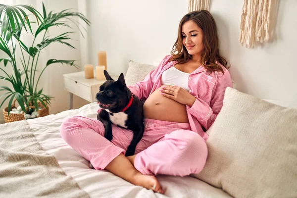 Mujer Embarazada Joven Sentada Cama Dormitorio Con Amigo Familia Perro —  Fotos de Stock