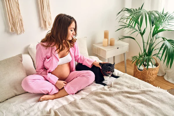 Genç Hamile Bir Kadın Aile Dostu Köpeğiyle Yatak Odasında Oturuyor — Stok fotoğraf