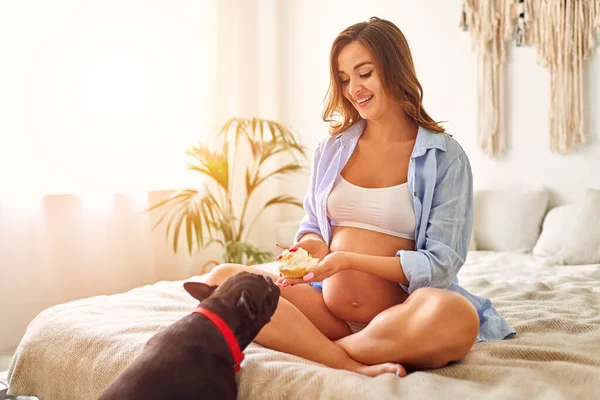 Mujer Embarazada Joven Sentada Cama Dormitorio Con Perro Sosteniendo Pastel —  Fotos de Stock