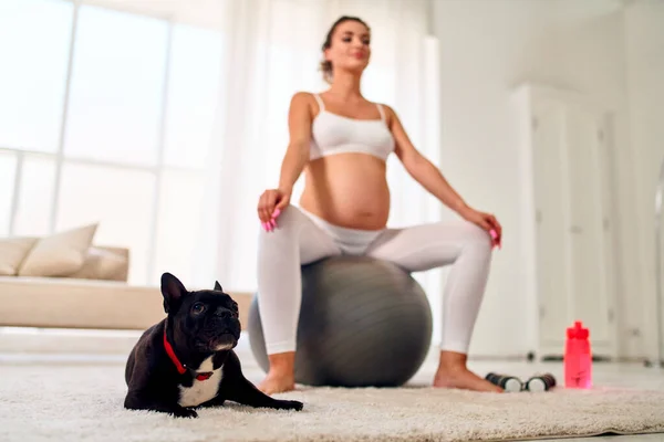 穿着运动服的年轻孕妇和她的狗坐在健身球上做瑜伽运动 附近有哑铃和一瓶水 怀孕期间的运动和健康生活方式 — 图库照片