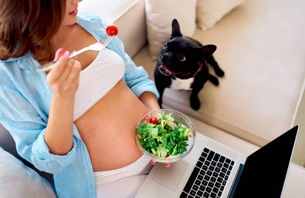 Jovem Grávida Sentada Sofá Com Laptop Com Prato Salada Fresca — Fotografia de Stock