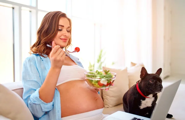 年轻的孕妇坐在沙发上 带着笔记本电脑和一盘新鲜的沙拉和一只狗 健康饮食 工作从家里 自由职业 网上购物 产妇概念 — 图库照片