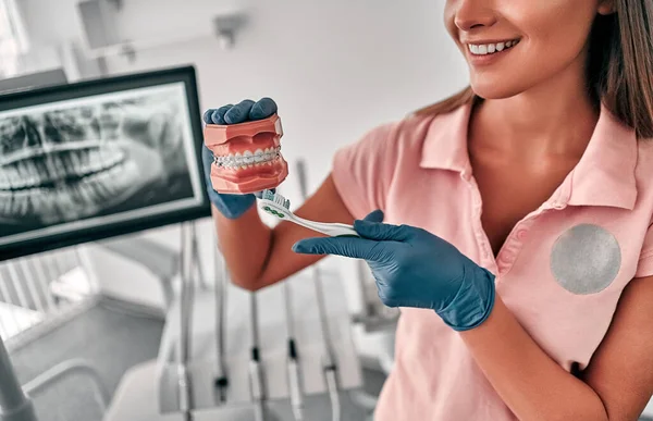 Dentista Muestra Cómo Cepillarse Los Dientes Con Cepillo Dientes Diseño —  Fotos de Stock