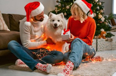 Mutlu Noeller ve mutlu yıllar! Köpekli mutlu çift Noel Baba şapkalarıyla evde güzel bir Noel ağacının yanında otururken birlikte yeni yılı bekliyor..