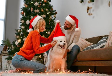 Mutlu Noeller ve mutlu yıllar! Köpekli mutlu çift Noel Baba şapkalarıyla evde güzel bir Noel ağacının yanında otururken birlikte yeni yılı bekliyor..