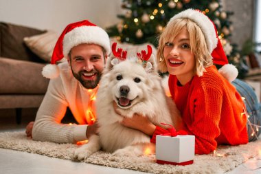 Mutlu Noeller ve mutlu yıllar! Güzel bir Noel ağacının yanında oturan tatlı bir kadın Noel Baba şapkalı beyaz tüylü bir köpeğe sarılıp bayramı bekliyor..