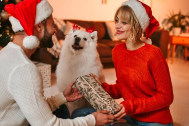 Mutlu Noeller ve mutlu yıllar! Köpekli bir çift evde güzel bir Noel ağacının yanında birlikte yeni yılı bekliyor. Bir erkek çekici genç bir bayana hediye kutusu sunar..