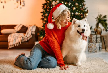 Mutlu Noeller ve mutlu yıllar! Güzel bir Noel ağacının yanında oturan tatlı bir kadın Noel Baba şapkalı beyaz tüylü bir köpeğe sarılıp bayramı bekliyor..