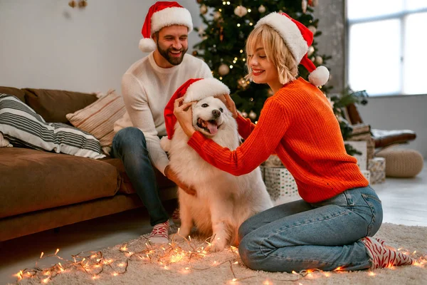 Merry Christmas and Happy New Year! Happy couple with dog  is waiting for the New Year together in Santa Claus hats while sitting near beautiful Christmas tree at home.