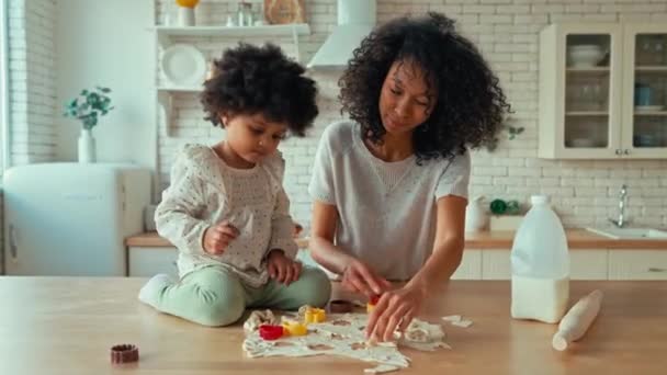 Mulher Afro Americana Com Sua Filhinha Com Cabelo Encaracolado Fofo — Vídeo de Stock