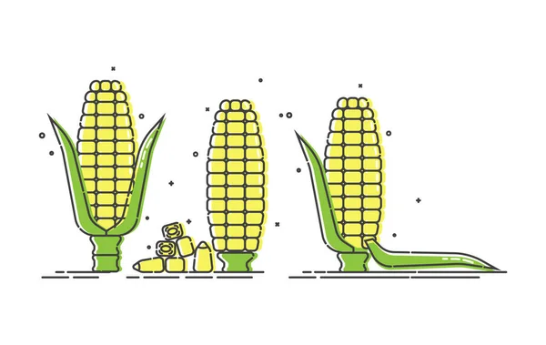 Кукуруза Белом Фоне Молодой Ухо Кукурузы Листьями Органическая Еда Здоровый — стоковый вектор