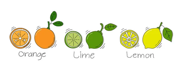 Fruta Limão Inteira Cortada Meio Fundo Branco Desenho Desenho Animado —  Vetores de Stock