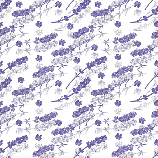 Vector seamless pattern with lavender twigs — Stock Vector