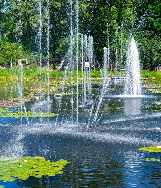 Fontaines Eau Dans Étang Nénuphars Exposition Jardin Tulln Autriche — Photo