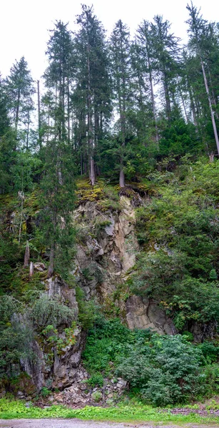 Pendiente Escarpada Bosque Valle Lesach Del Tirol Oriental Austria —  Fotos de Stock