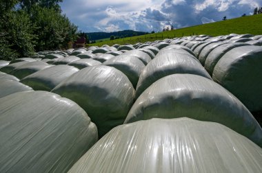 Samanların üzerindeki gök gürültülü bulutlarla dolu fırtınalı atmosfer güneşli bir çayırda parlak folyolar içinde, Avusturya