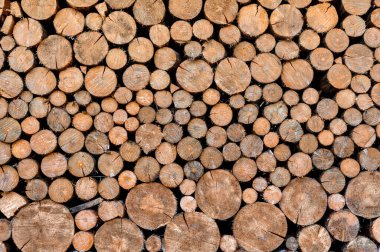  Yığılmış yuvarlak odunların yüzeylerini kes