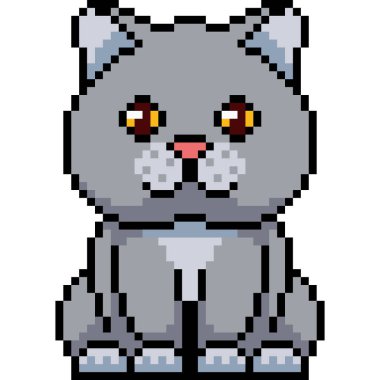 Vektör piksel sanat kedisi izole edilmiş çizgi film