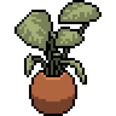 vektör pikseli sanat bitkisi tenceresi izole edilmiş çizgi film