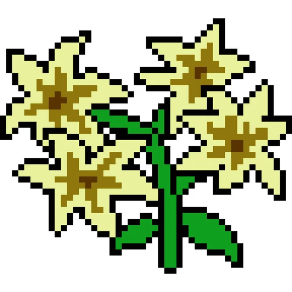 Vektorový Pixel Květ Izolovaný — Stockový vektor