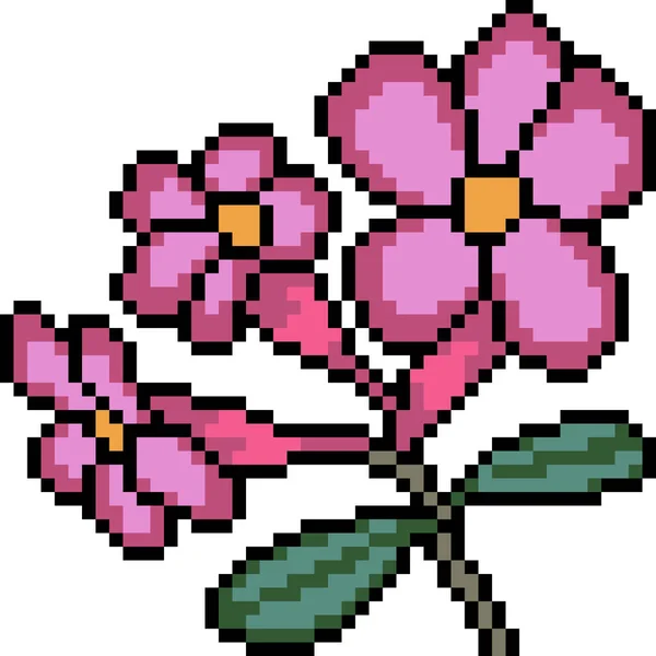 Векторна Піксельна Квітка Мистецтва Ізольована — стоковий вектор