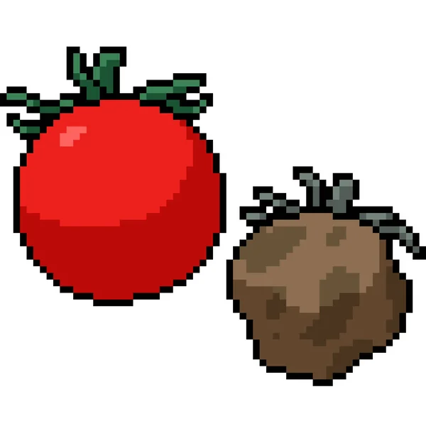 Vector Pixel Arte Aislado Tomate Fresco Putrefacción — Vector de stock