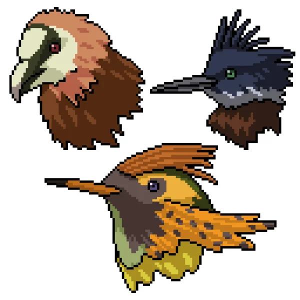 Pixel Kunst Des Wildvogelkopfes — Stockvektor