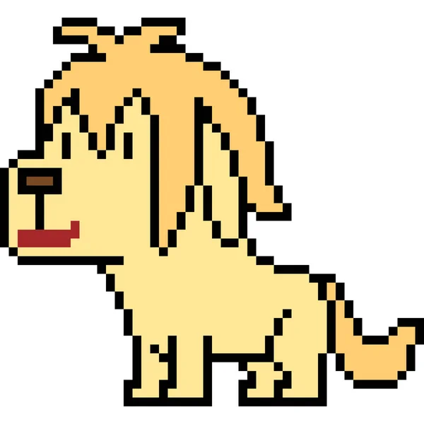 Pixel Vetorial Arte Cão Golden Retriever Isolado — Vetor de Stock