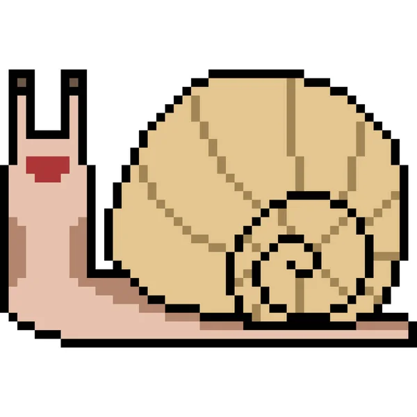 เวกเตอร กเซลศ ลปะการ นหอยทากแยก — ภาพเวกเตอร์สต็อก