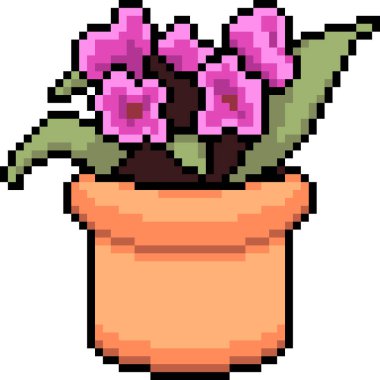 vektör pikseli sanat bitkisi tenceresi izole edilmiş çizgi film