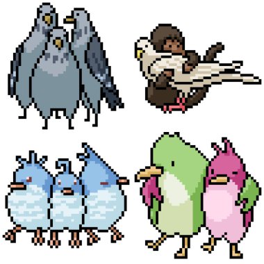 piksel sanatı izole edilmiş kuş arkadaşı