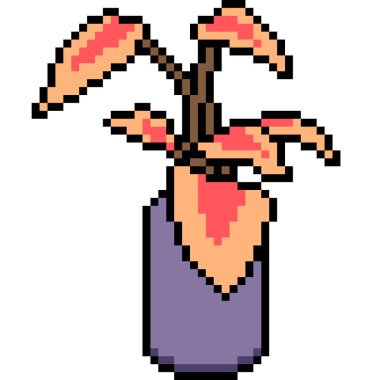 vektör pikseli sanat bitkisi tenceresi izole edilmiş çizgi film