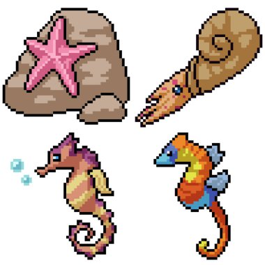 pikseller izole bir sahil yaratığı.