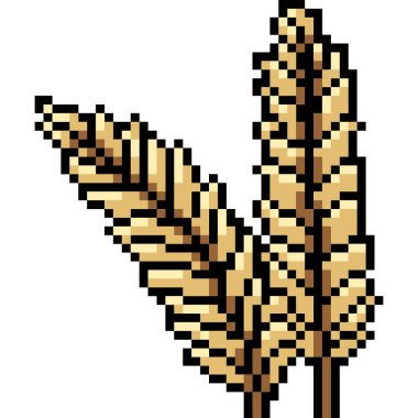 vektör piksel sanatı çiğ pirinç izole cartoo