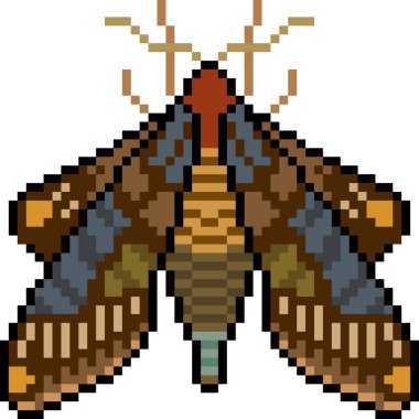 vektör piksel sanat güvesi izole edildi