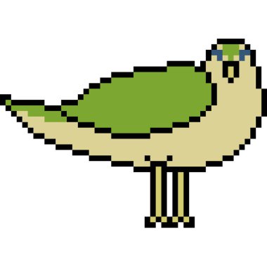 vektör piksel sanat kuşu izole edildi