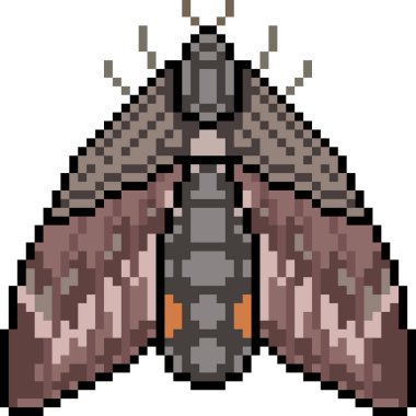 vektör piksel sanat güvesi izole edildi