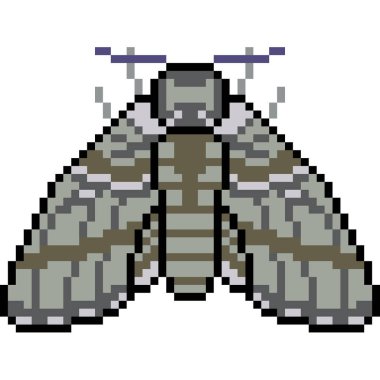 vektör piksel sanat güvesi izole edildi