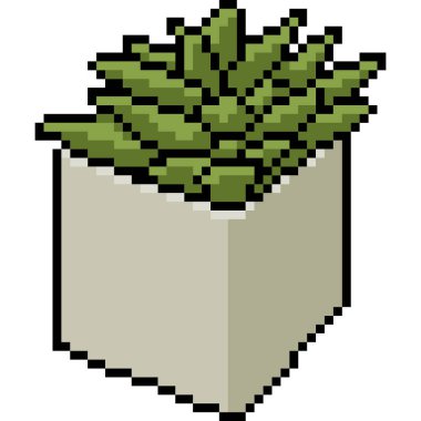 vektör pikseli sanat bitkisi tenceresi izole edilmiş çizgi film