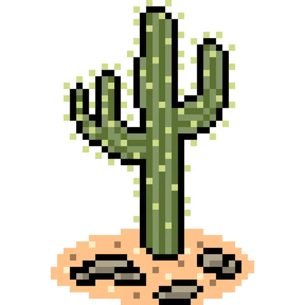 Vector Pixel Arte Cactus Desierto Dibujos Animados Aislados — Vector de stock