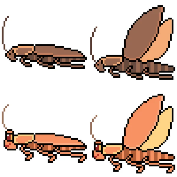 Vector Pixel Arte Conjunto Cucaracha Aislado — Archivo Imágenes Vectoriales