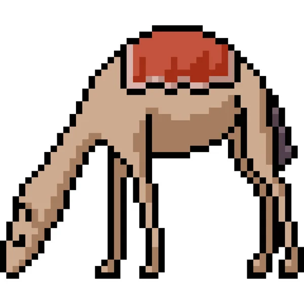 Διάνυσμα Pixel Τέχνη Καμήλα Απομονωμένη Cartoo — Διανυσματικό Αρχείο