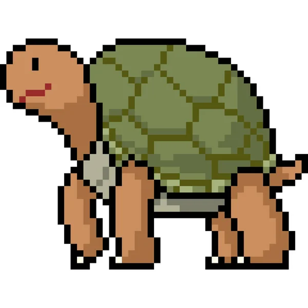 Vecteur Pixel Art Animal Tortue Isolé Dessin Animé — Image vectorielle