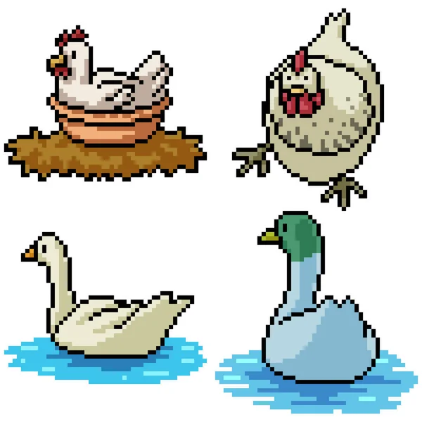 Pixel Art Set Anatra Pollo Isolata — Vettoriale Stock