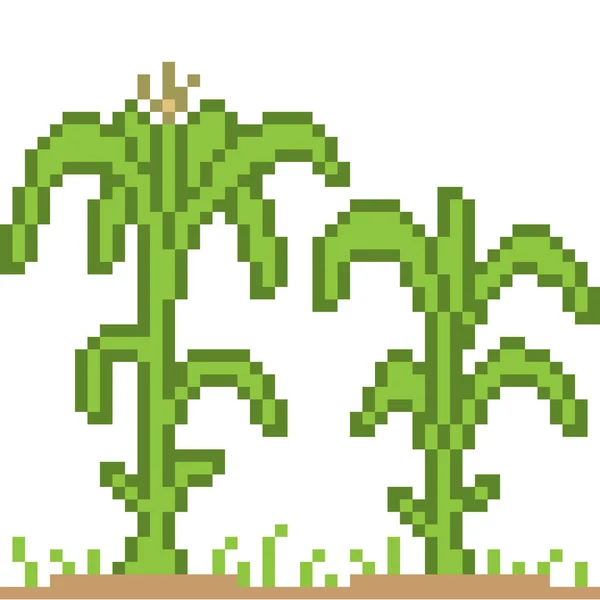 Vektor Pixel Art Növény Izolált — Stock Vector