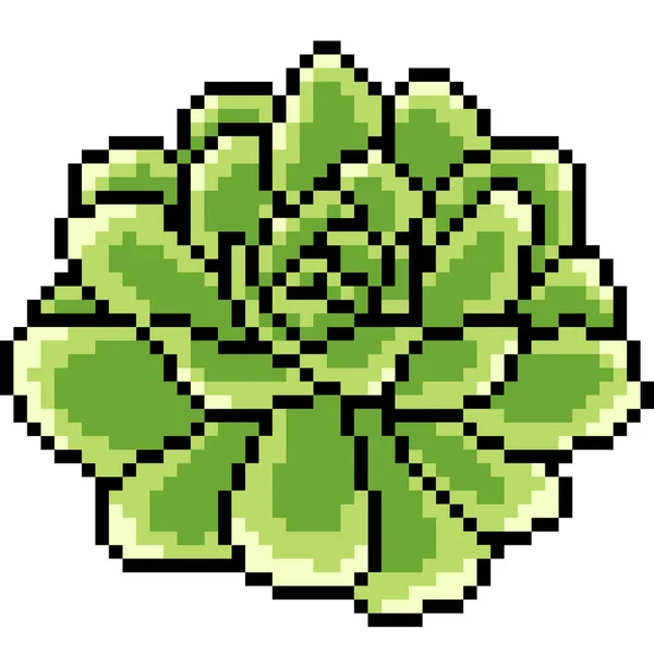 Vektor Pixel Umění Květ Květ Izolované Kreslené — Stockový vektor